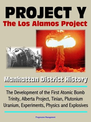 cover image of Project Y